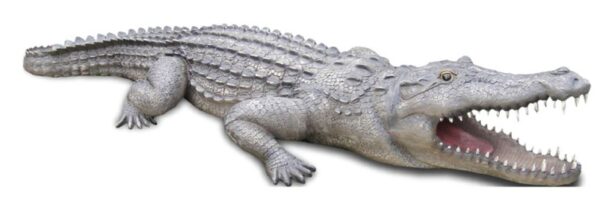 Krokodil i naturlig storlek