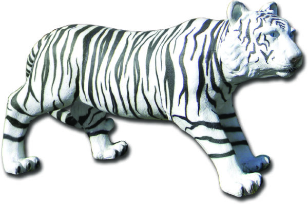 Vit tiger i naturlig storlek