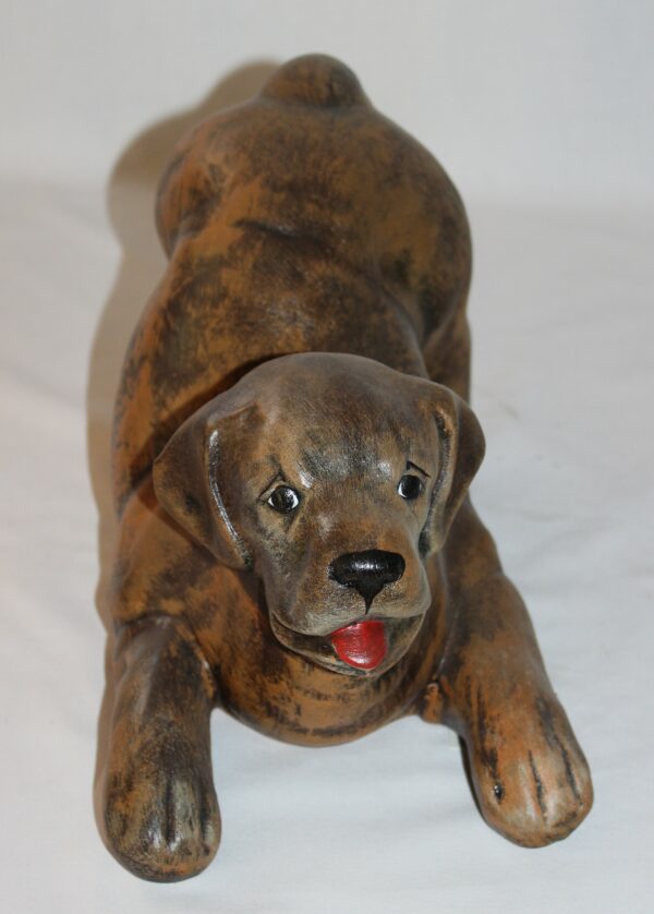Hund